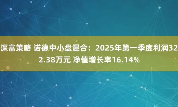 深富策略 诺德中小盘混合：2025年第一季度利润322.38万元 净值增长率16.14%