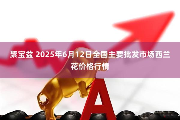 聚宝盆 2025年6月12日全国主要批发市场西兰花价格行情